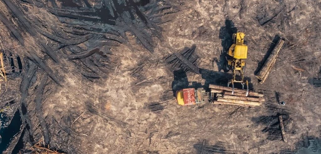 empreinte carbone : un véhicule déracine des arbres