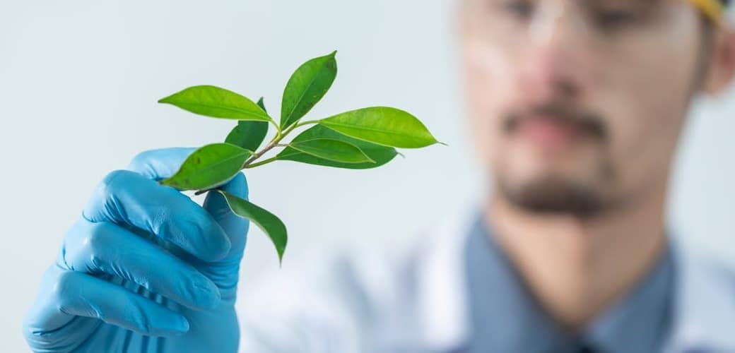 double matérialité : image d'une feuille verte tenue par une main gantée bleue