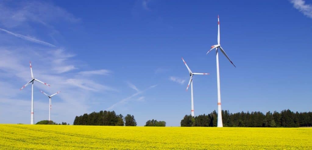 neutralité carbone : image de 4 éoliennes dans un champ avec un ciel bleu