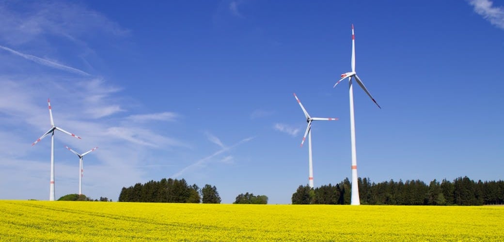 neutralité carbone : image de 4 éoliennes dans un champ avec un ciel bleu