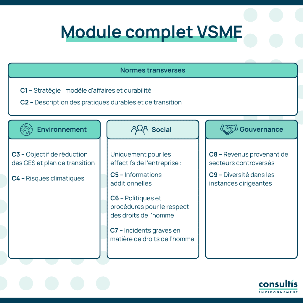 le module complet vsme en tableau 