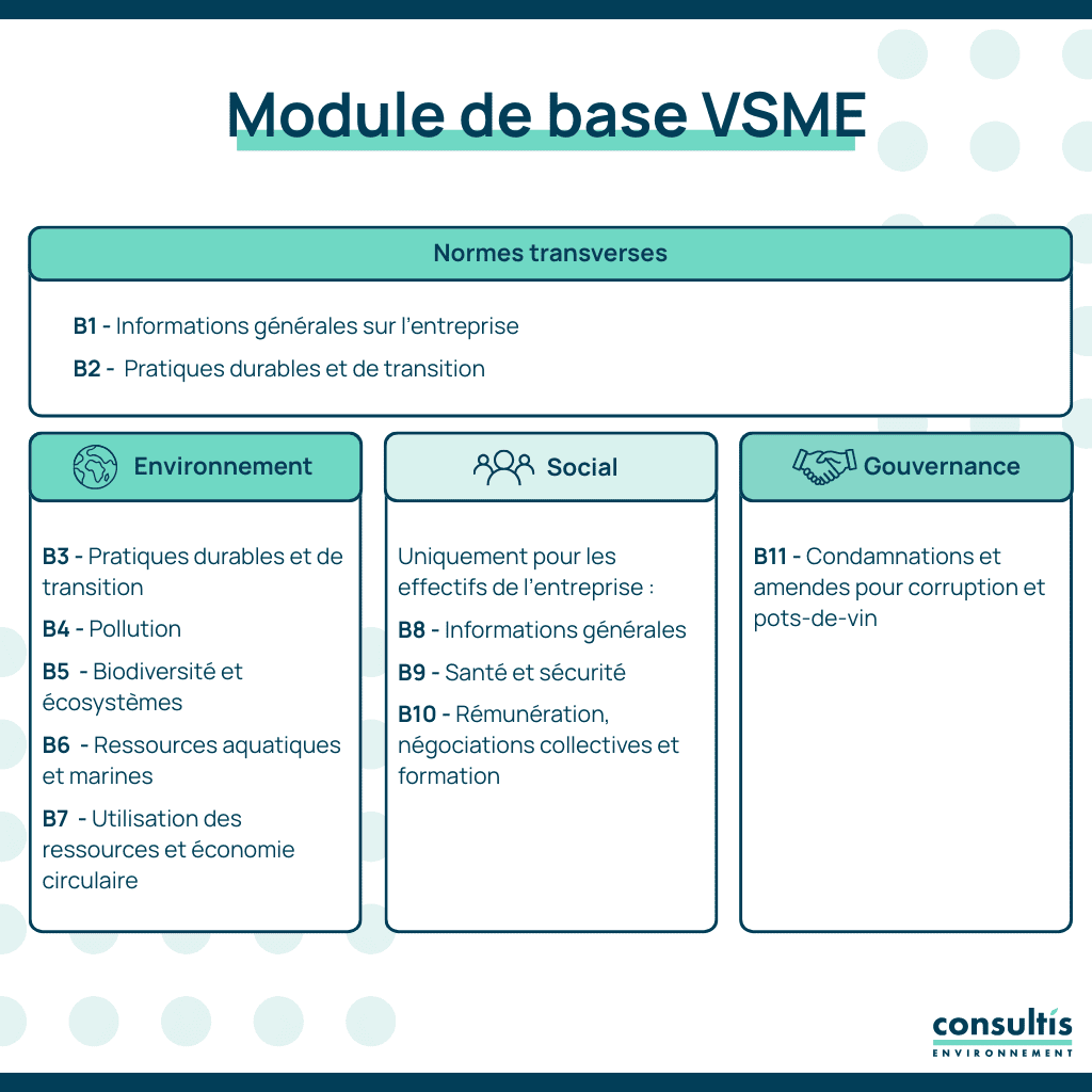 le module de base vsme en schéma