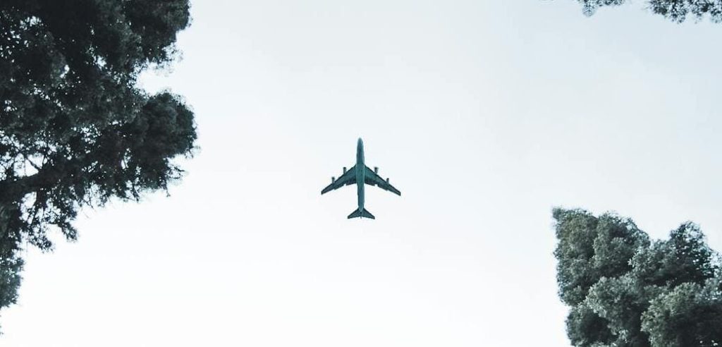 greenwashing avion et arbres vue du dessous