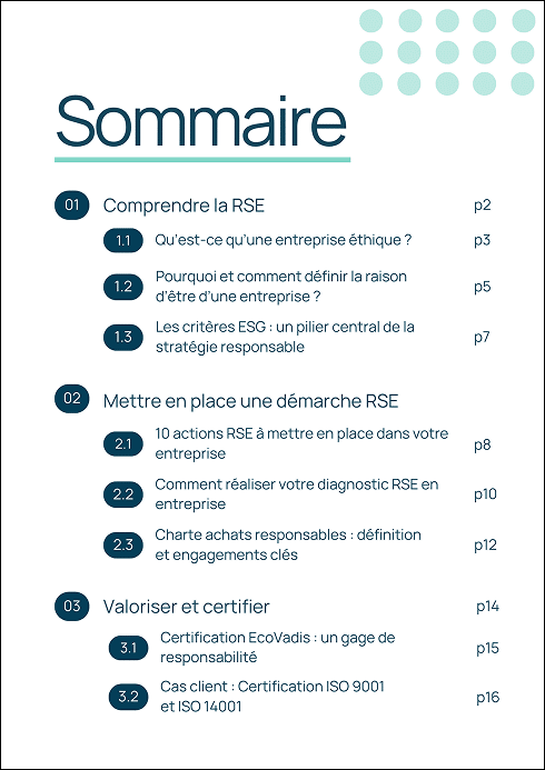 sommaire livre blanc rse