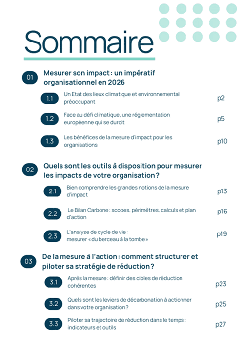 sommaire livre blanc mesure d'impact